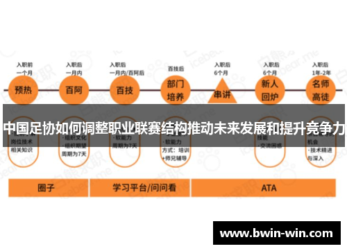 中国足协如何调整职业联赛结构推动未来发展和提升竞争力