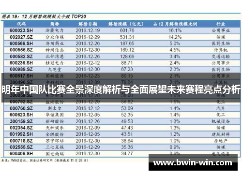 明年中国队比赛全景深度解析与全面展望未来赛程亮点分析 明年中国队比赛全景深度解析与全面展望未来赛程亮点分析